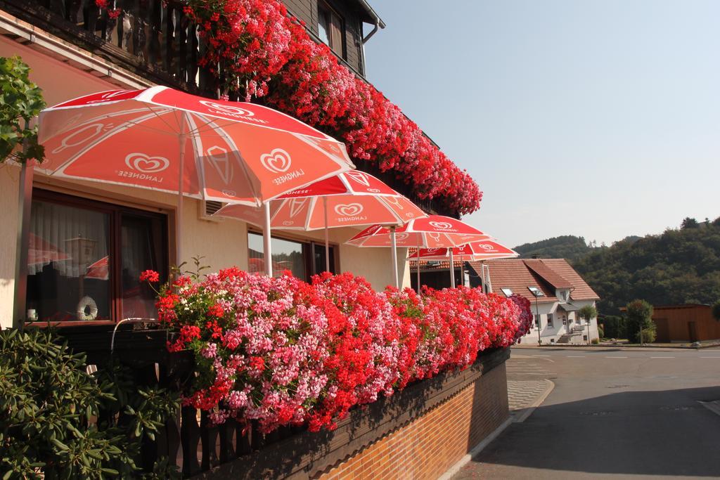 Landgasthof Hotel Sauer Willingen  Kültér fotó